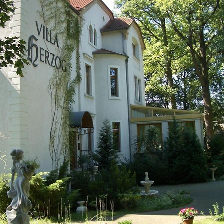 Hotel Villa Herzog Дрезден Экстерьер фото