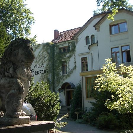 Hotel Villa Herzog Дрезден Экстерьер фото