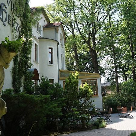 Hotel Villa Herzog Дрезден Экстерьер фото