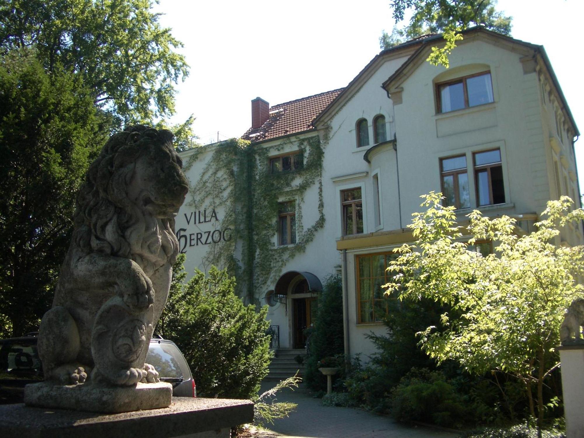 Hotel Villa Herzog Дрезден Экстерьер фото