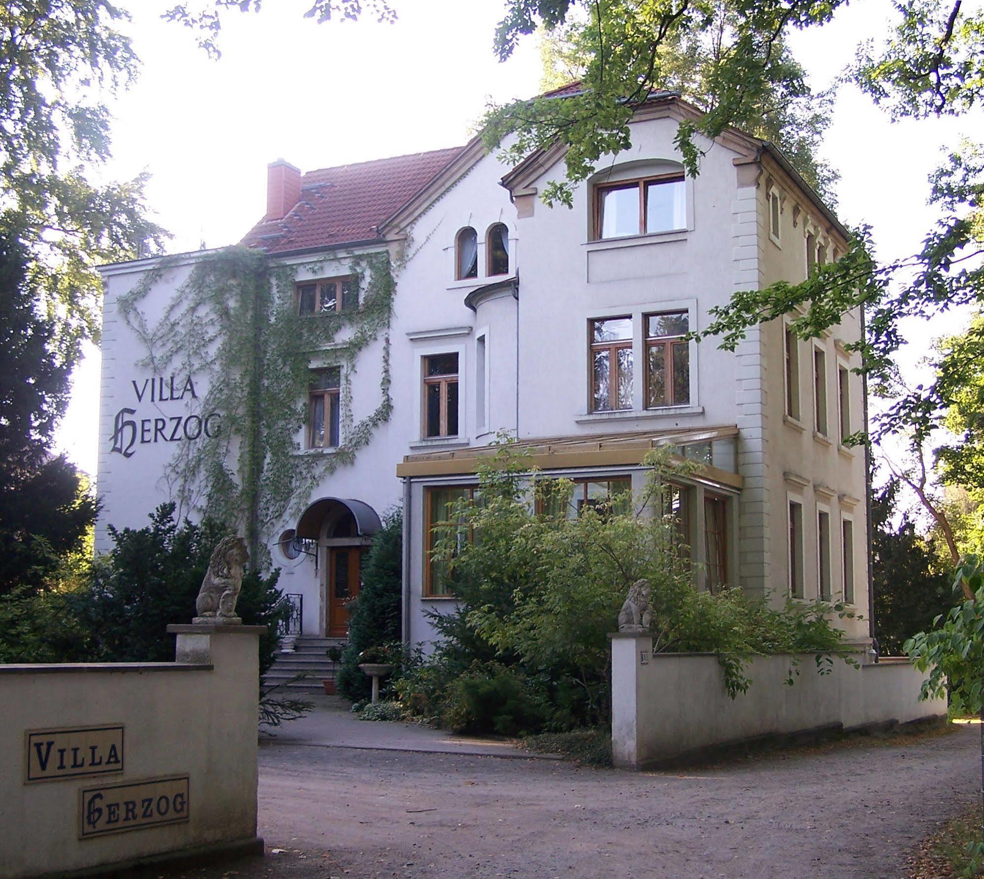 Hotel Villa Herzog Дрезден Экстерьер фото
